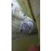 Thumb 11859