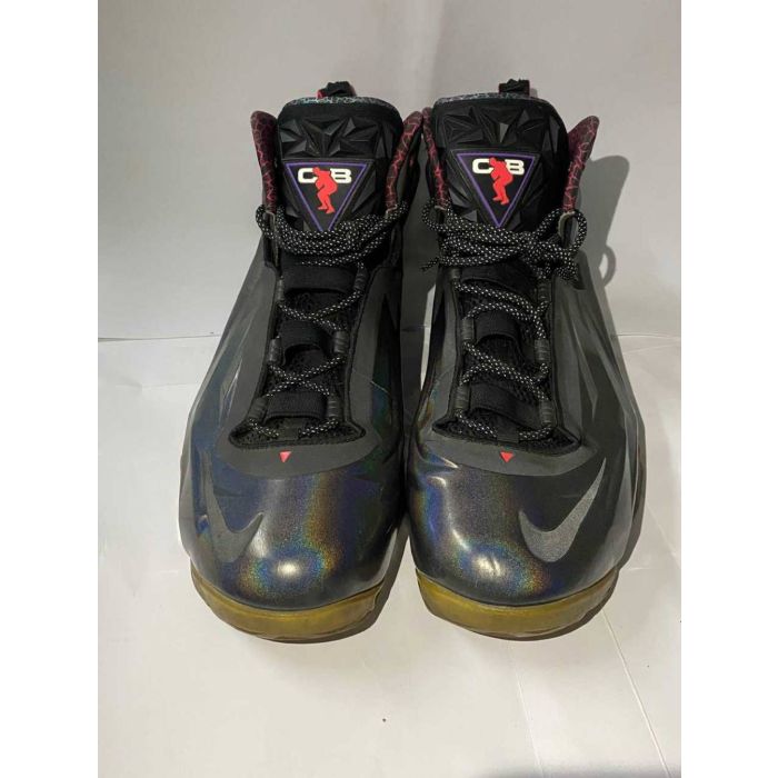 Nike LeBron 12 EXT Prism
